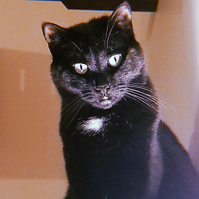 Smudge