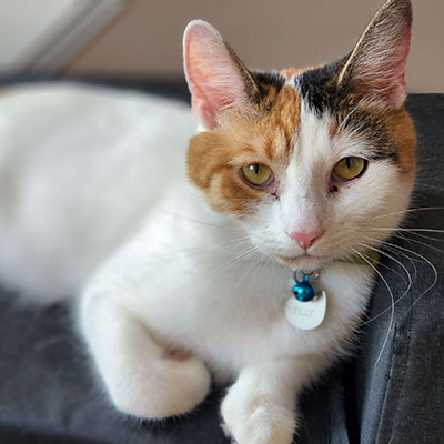 Tilly